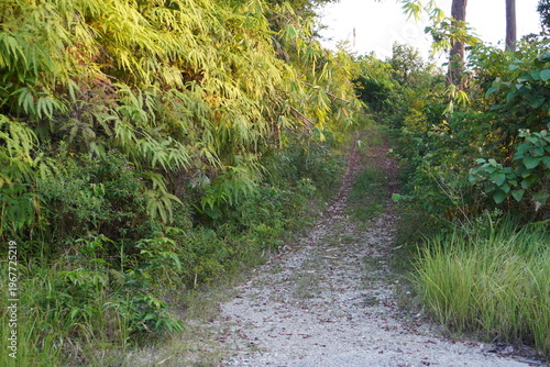 A road pathway designed for vehicles to ascend a hill, featuring slopes and curves.