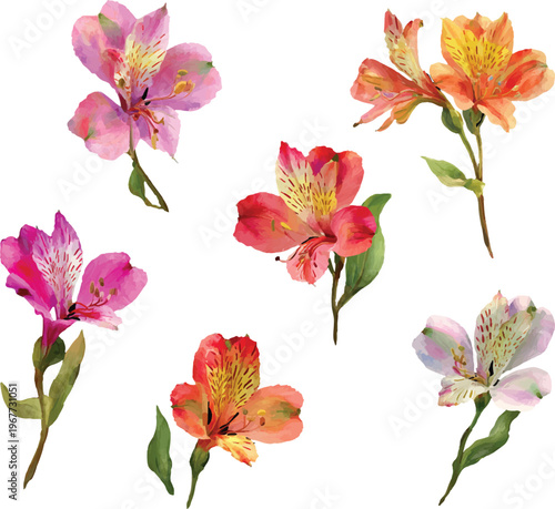 collection of flowers