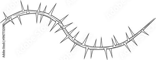 Detailed black and white line art vector illustration of a curved branch covered in sharp protective thorns.