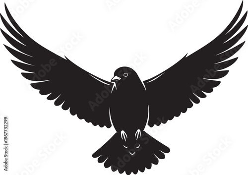 Black bird in flight with wings spread wide open