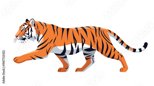 A walking tiger with orange and black stripes on a white background in a dynamic pose.