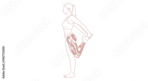Woman doing leg stretch with highlighted muscle anatomy diagram
