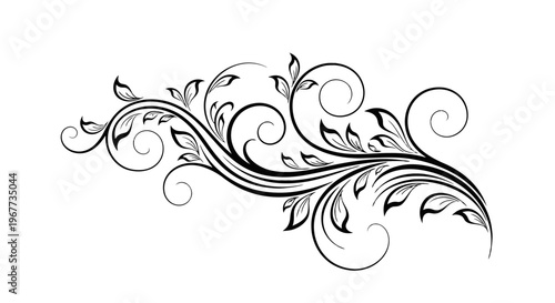 Black and white floral decorative design element.
