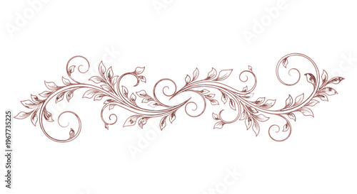 Elegant floral vine design element isolated.