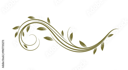 Elegant green leafy vine graphic element.