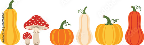 Autumn pumpkins and mushrooms collection vector illustration set with seasonal harvest elements isolated on white background for fall decoration and thanksgiving design