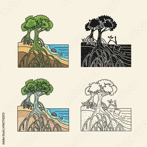 Four illustrations of trees with roots growing in soil and water  natural ecosystem and plant growth stages
