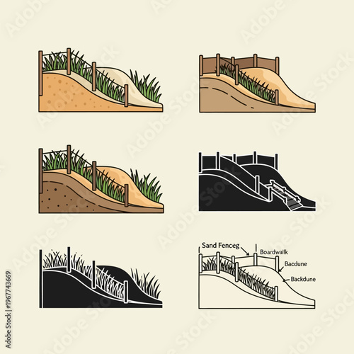 Sand fence protecting beach dunes from erosion with grass and sand  different views and diagram