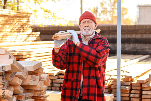 Mature male carpenter carry...