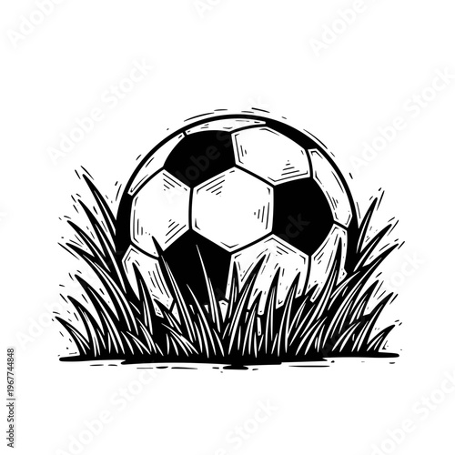 Vector Pinocut A football resting in a patch of grass.