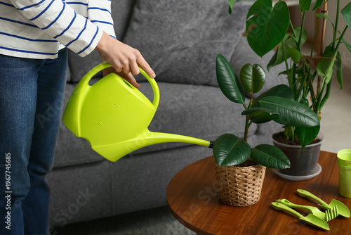 Young woman watering housep...