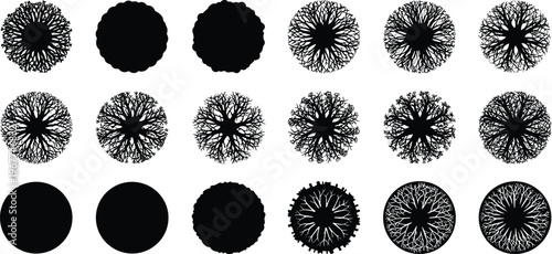 Tree canopy silhouette set, forest top view foliage collection, round tree crown icons vector illustration for landscape architecture and map design