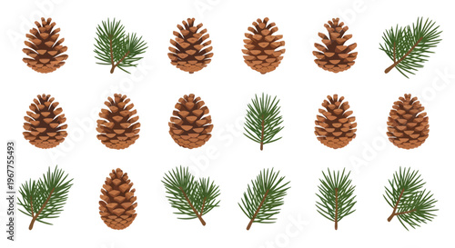 Pine Cones and Needles Pattern - Natural Winter Forest Elements