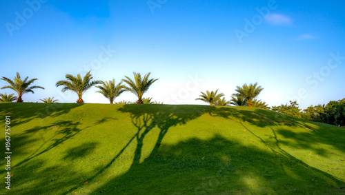Alma 5-star resort in Cam Ranh district, Khanh Hoa province, Vietnam - March 19, 2026: Blue sky, green grass, and palm trees at Alma 5-star resort in Cam Ranh district, Khanh Hoa province, Vietnam