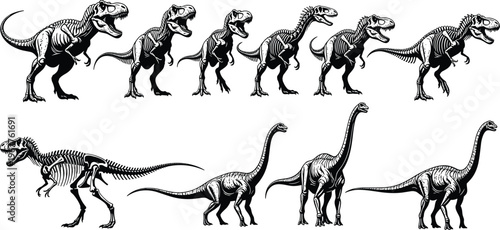 Dinosaur skeleton silhouette vector set, T-Rex and Brachiosaurus illustrations, prehistoric animal bones, fossil graphic design for education, science, and museums