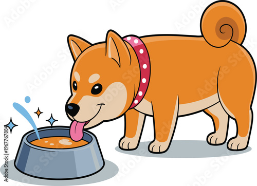 Cute Shiba Inu dog drinking water from a bowl vector illustration, happy cartoon pet with red collar, flat design for pet care and hydration concepts, isolated on white background