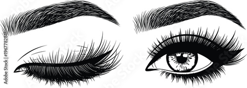 Beautiful Woman Eyes with Long Thick Eyelashes and Shaped Eyebrows Vector Illustration Hand Drawn Sketch for Eyelash Extension Salon Microblading Brow Bar Makeup Artist