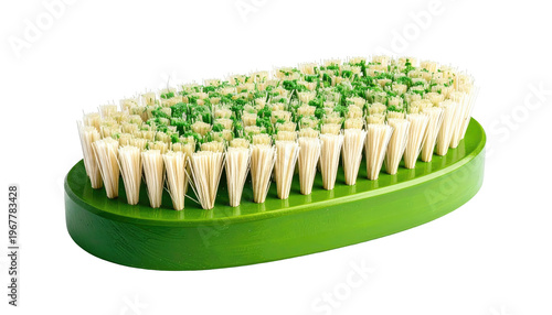Green handled scrub brush with dense dual-tone bristles for cleaning surfaces in detailed close-up studio shot against black background