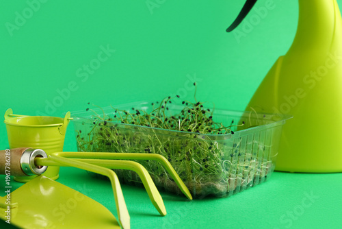 Plastic container with fres...