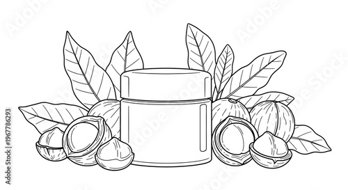 Sketch of cosmetic jar surrounded by walnuts and leaves