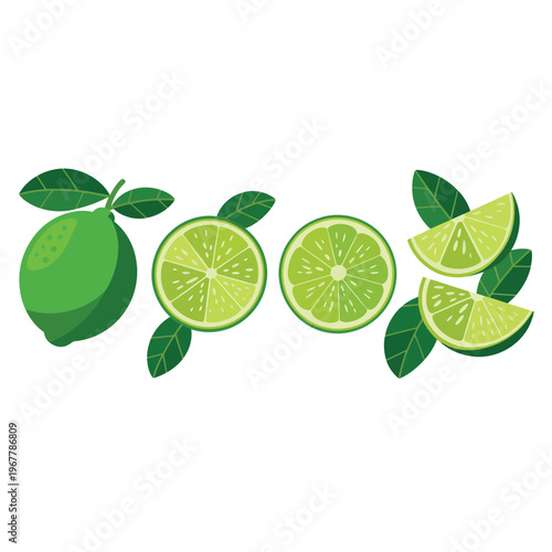 A vibrant illustration of whole and sliced limes with green leaves