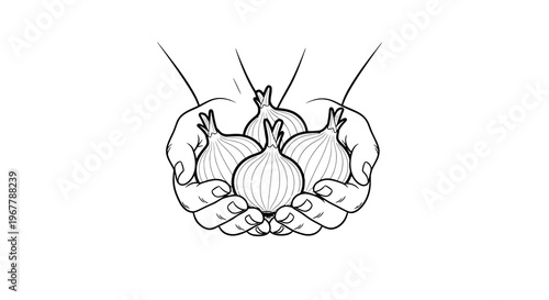 Hands gently cradling a collection of freshly harvested onions