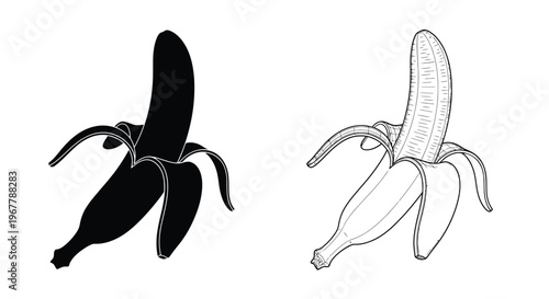 Two contrasting banana illustrations solid black and detailed line art