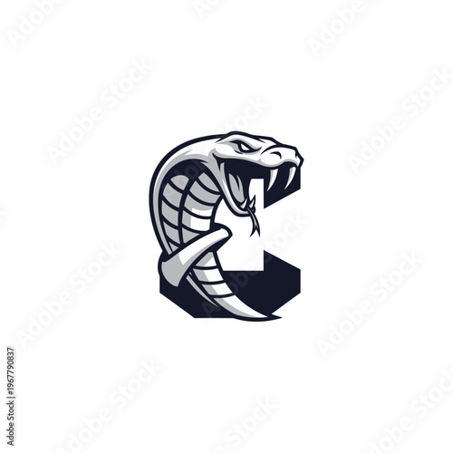A menacing cobra snake head illustration.