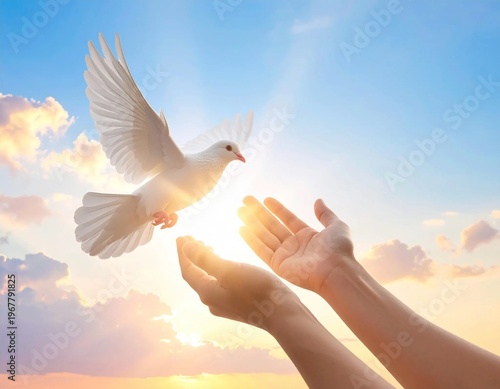 White Dove Flying from Hands Towards Heavenly Light.