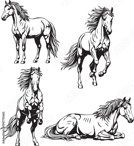 Four black and white horses in different poses