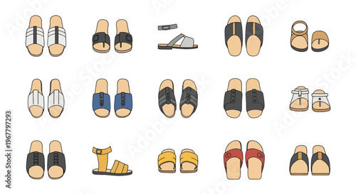 Collection of various flat sandals and slippers for men and women, isolated on white