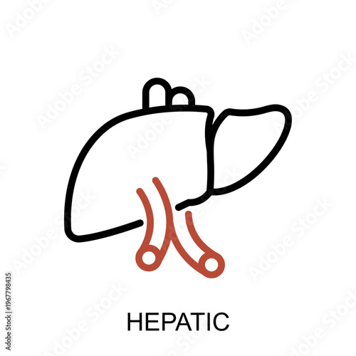 metabolic syndrome hepatic icon medical metabolic health concept