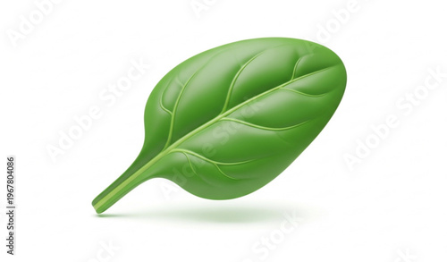 3D realistic spinach leaf icon with soft shadow isolated on white background