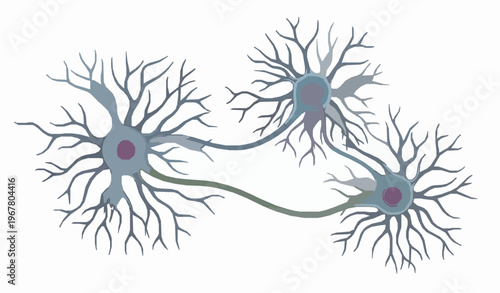 Neuron cells with dendrites and axons vector illustration neural network biology concept isolated on white