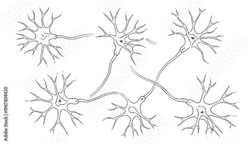 Neural network neurons with dendrites and axons scientific vector illustration isolated on white background
