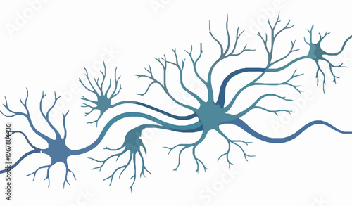 Abstract neuron network vector with dendrites and axons brain cell illustration isolated on white