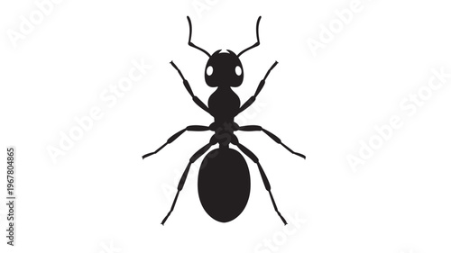 Ant silhouette with clean black lines and white background, simple insect icon representing nature and wildlife.