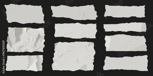 Collection of torn paper fragments arranged on a black background