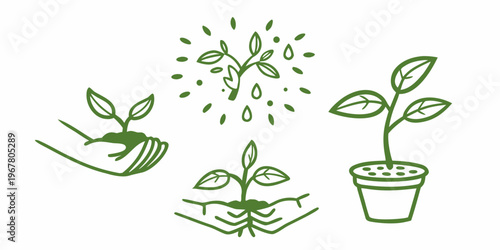 Hand nurturing a seedling with growing plants and watering droplets