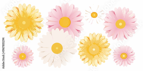 A collection of colorful daisy flowers arranged on a white background