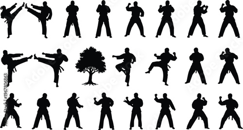 Karate martial arts silhouette set fighters training poses kicking punching combat stances collection isolated vector illustration sports action black figures