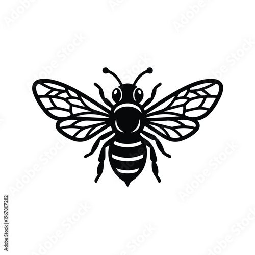 Black and white bee insect.