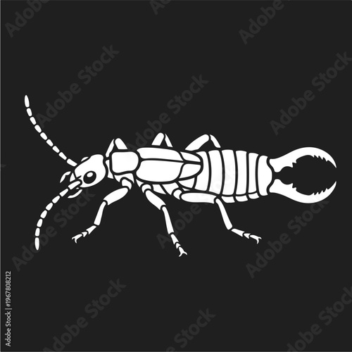 Scorpion Insect White Illustration.