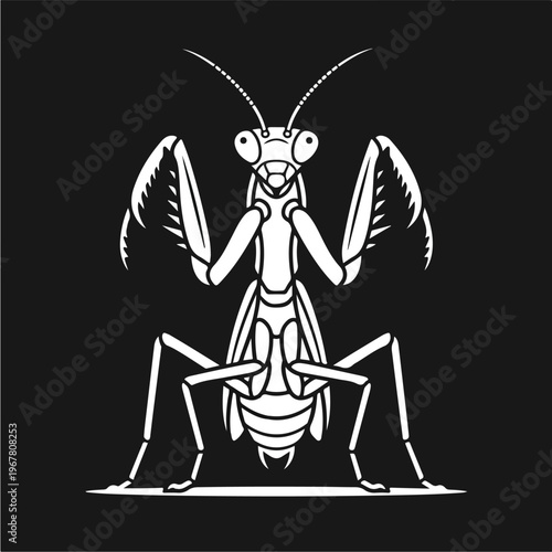 Praying Mantis Insect Illustration 1.