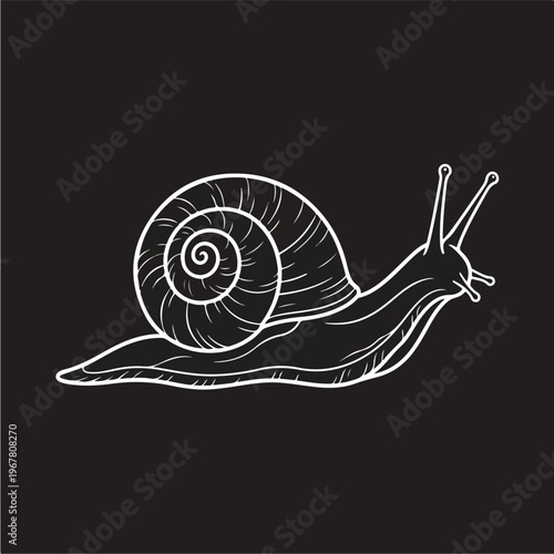Snail Shell Animal Illustration.