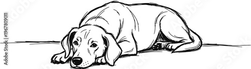 Hand-drawn Sketch of a Lying Dog in Minimalist Style