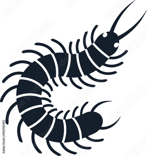 Centipede black silhouette insect illustration.