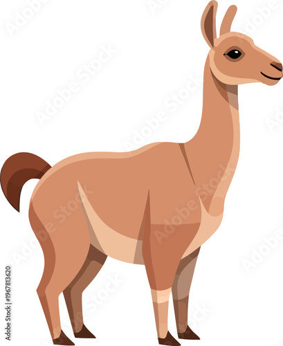 Llama standing alone looking right.