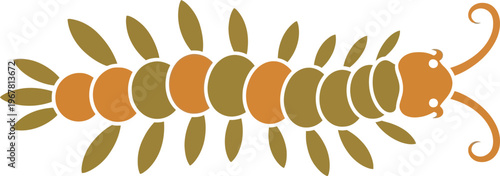 Centipede insect with many legs crawling.