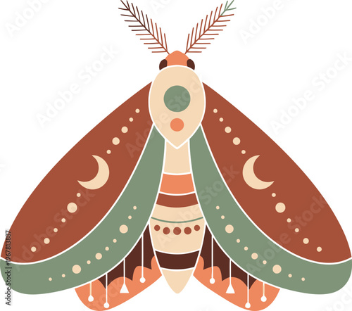 Colorful illustration of a moth.